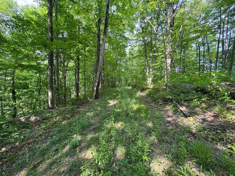 Pleasants, WV 168.59 AC Superior, Swank, Young-060