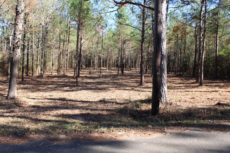 00DE17EA-D2E0-4429-B5BC-0284A06A1FB7_1_105_c