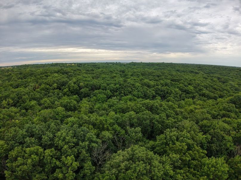 DJI_20250630072030_0320_D