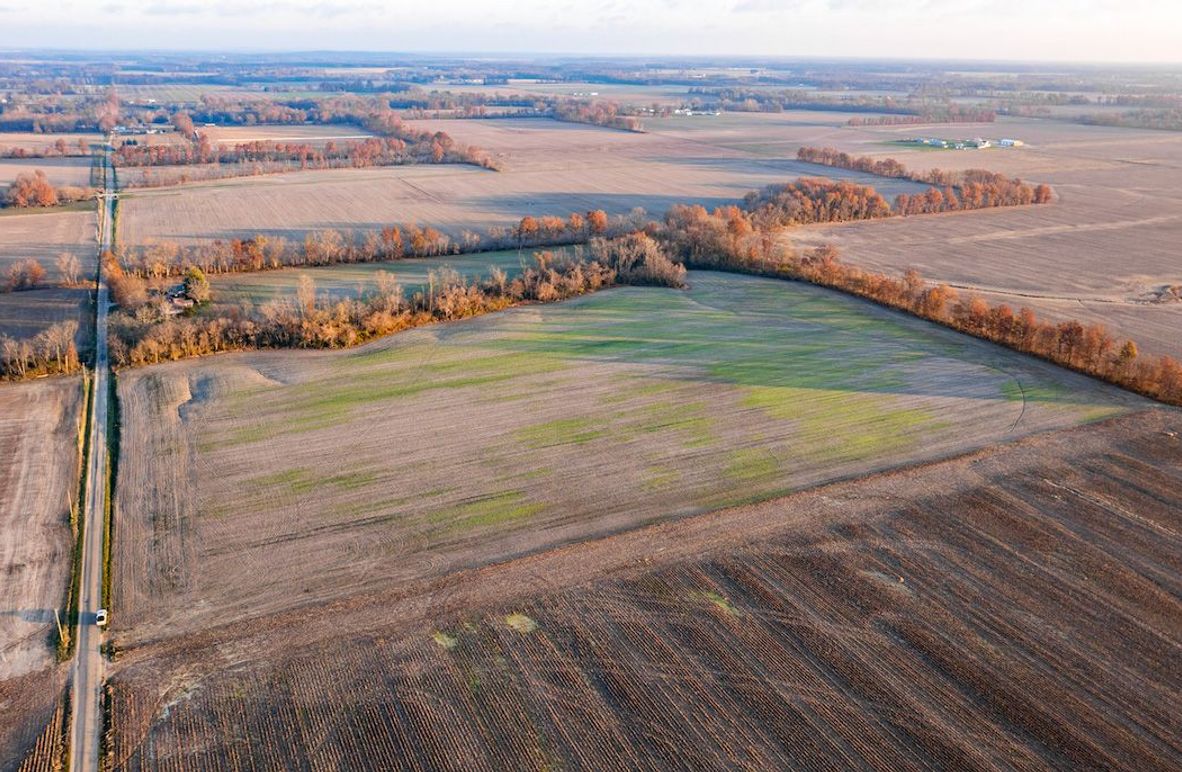 Copy of DJI_20241129073557_0001_D