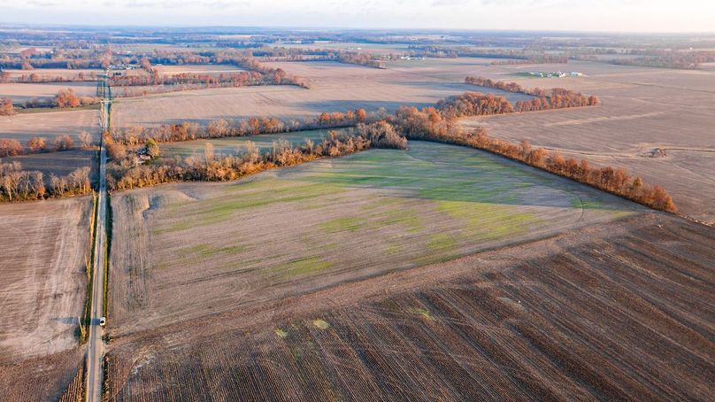 Copy of DJI_20241129073557_0001_D