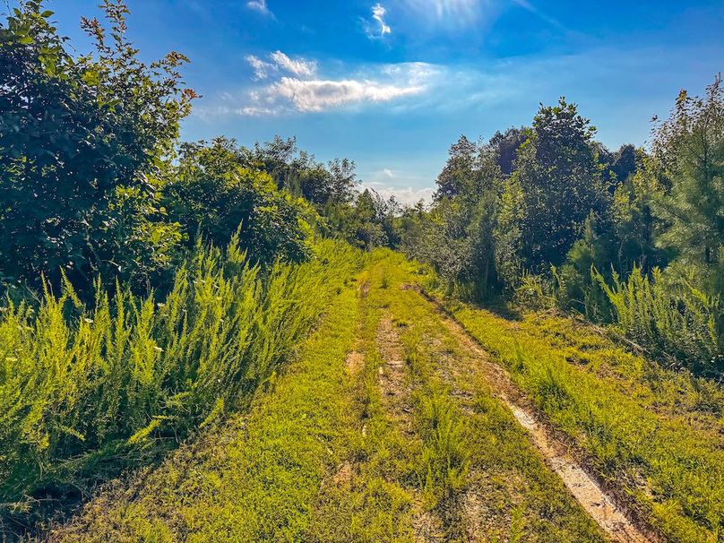 Lewis, WV 82.87 AC Barger-069