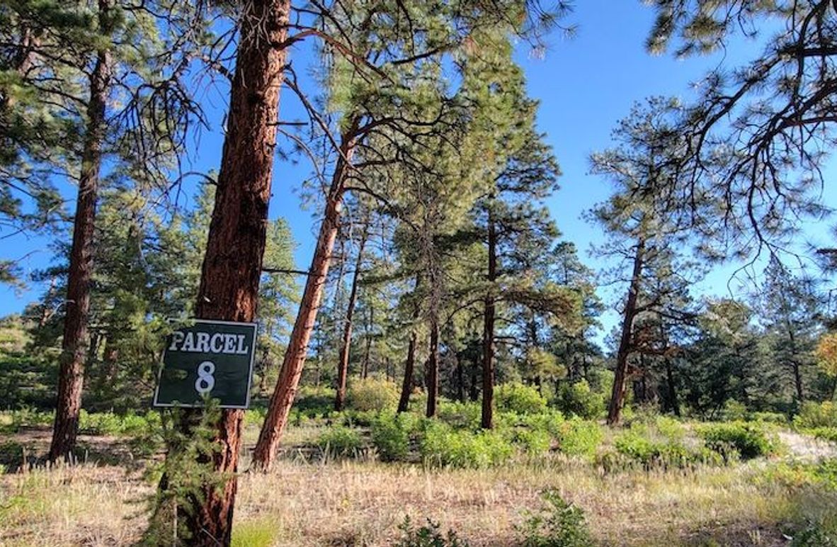 Copy of 20210827_081914