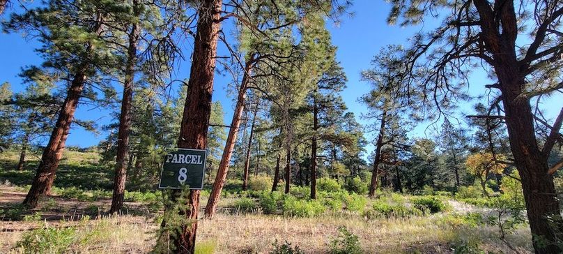 Copy of 20210827_081914