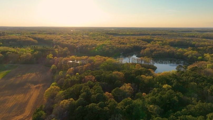 WILLIAMSON, IL 65.00_14_37_22.Still050