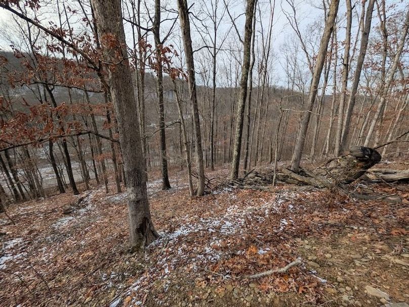 PXL_20260112_171236496