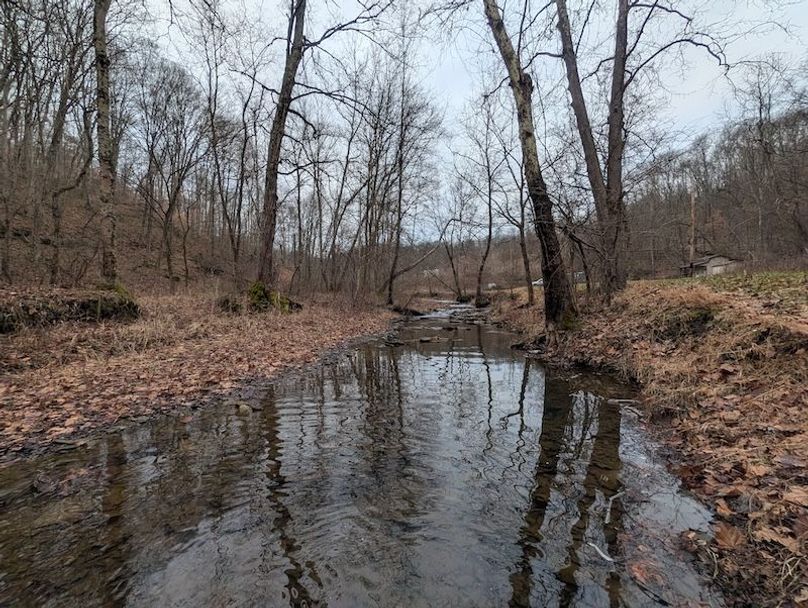 PXL_20260107_212404616.MP