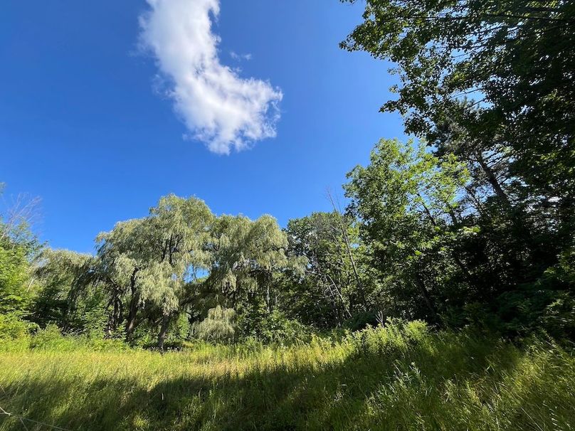 Ontario_2.7_Proseus Photo 10