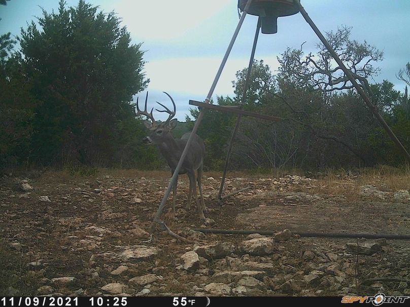 Game Camera 7