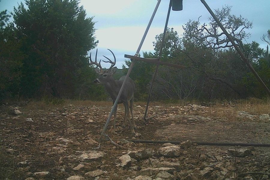 Game Camera 7