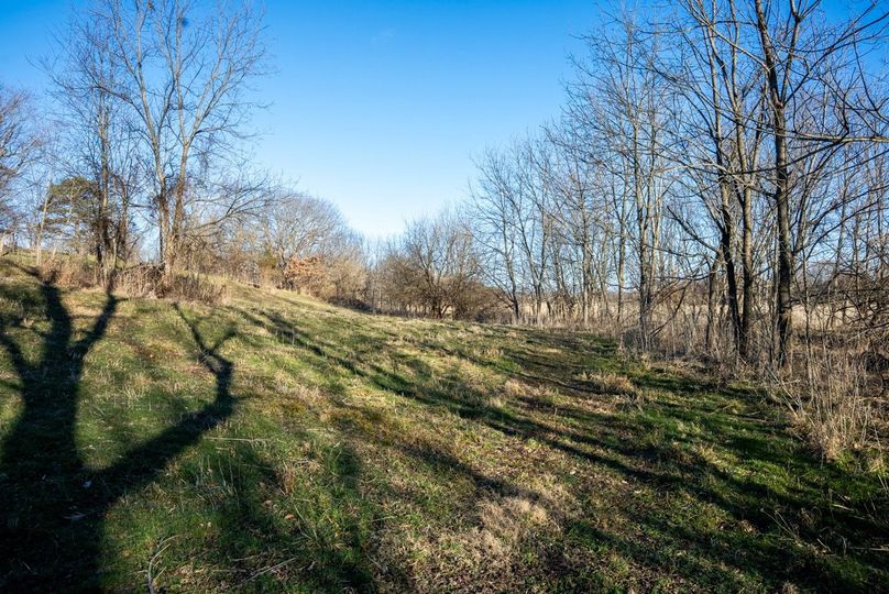 Copy of DSC00666 Large