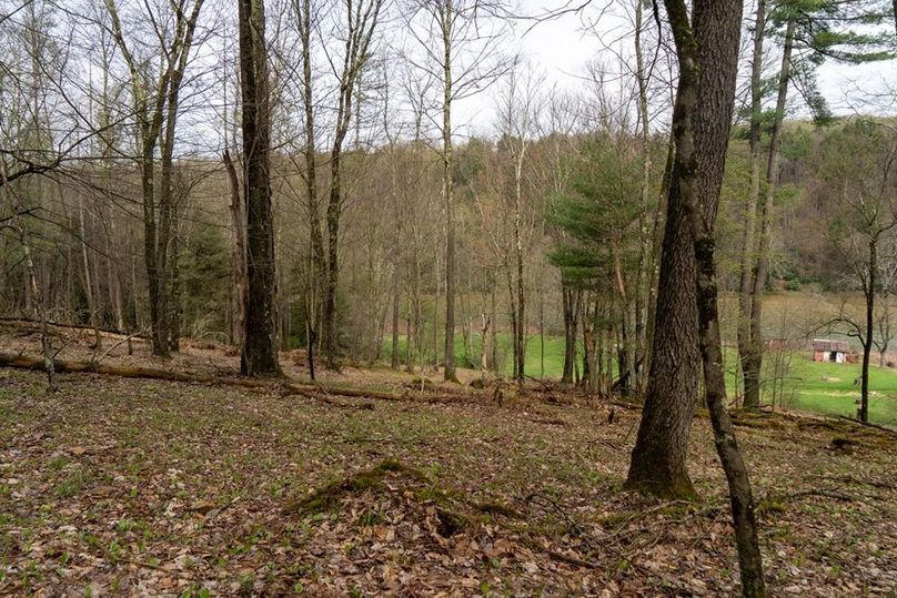 Clarion River-70