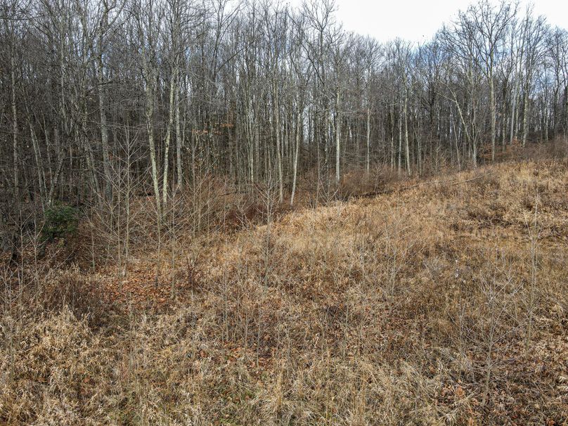 dji_fly_20231204_110156_608_1701705762476_photo 2