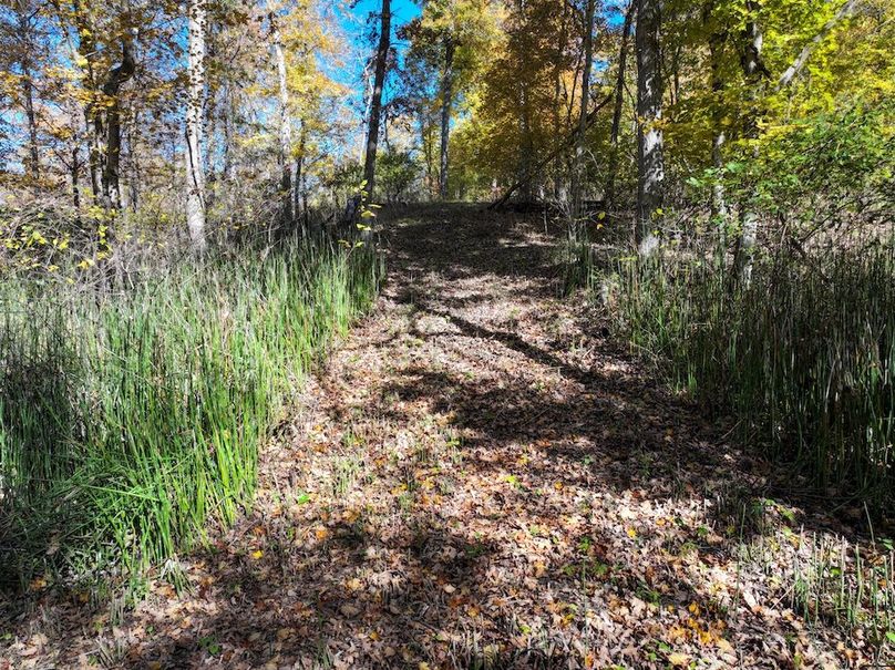 Copy of DJI_20251031134153_0790_D