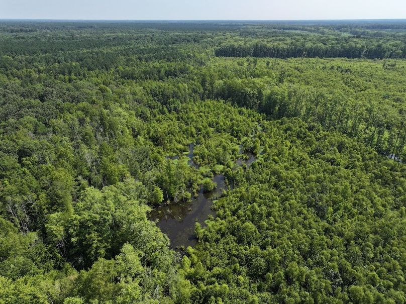 DJI_20250627100323_0107_D