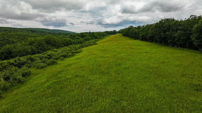 Bedford,121,Beegle-58