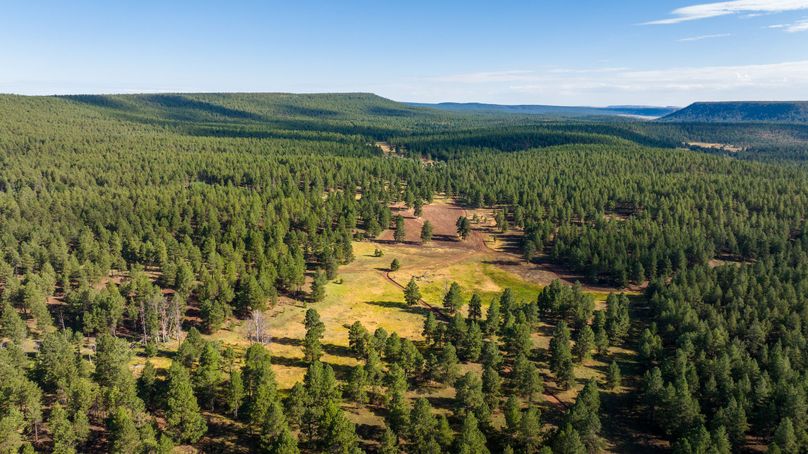 Cibola NM 13,053-0452