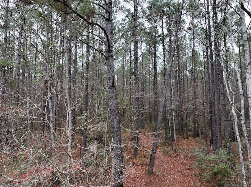 dji_fly_20260123_112432_0914_1769444787452_photo