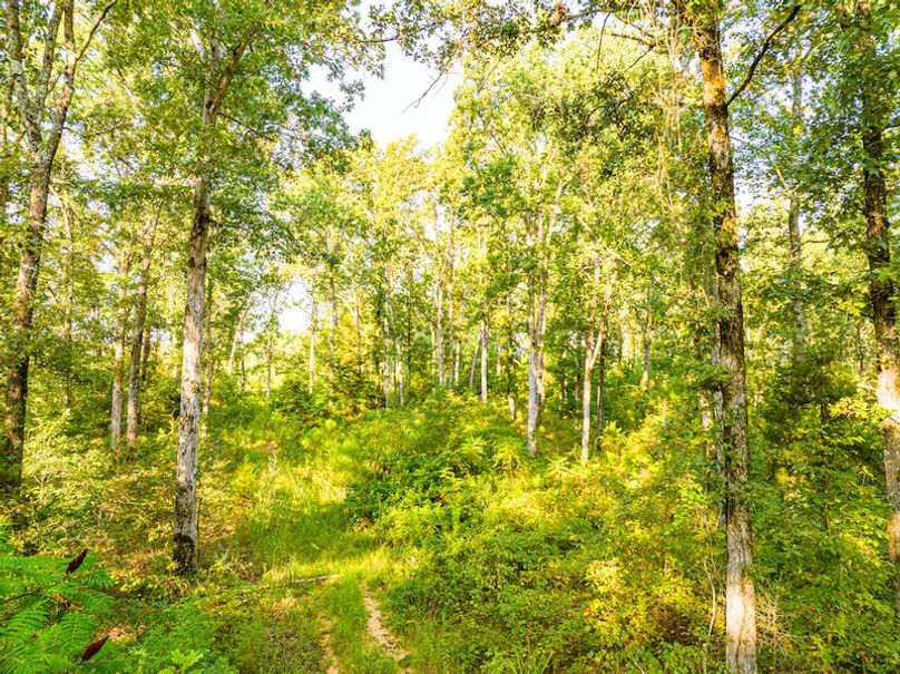 Itawamba 400 Moore-60