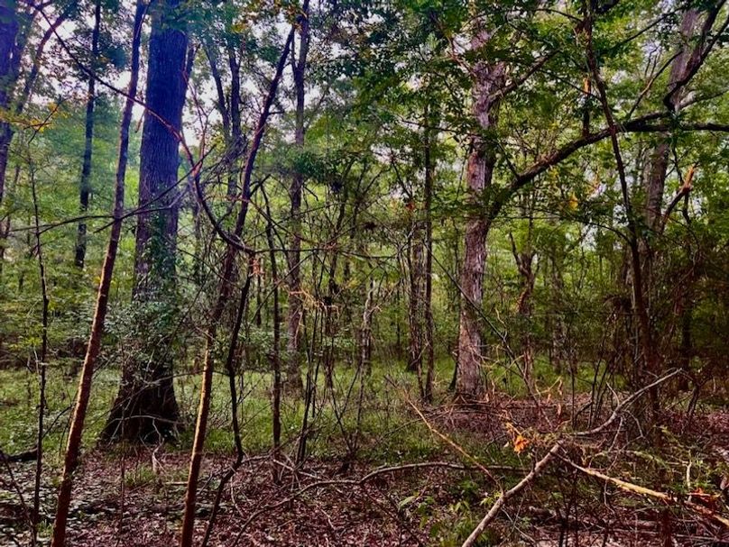 D5636B40-988D-4670-9AFC-0AA647B53291_1_105_c