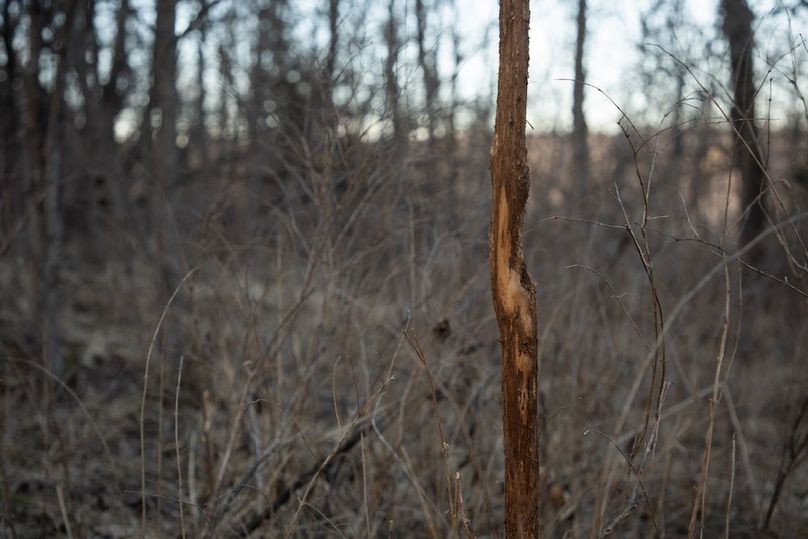 MONTGOMERY CO IA 156.78_49