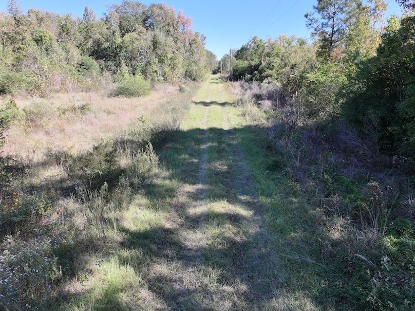 dji_fly_20251103_134344_0697_1762362214555_photo