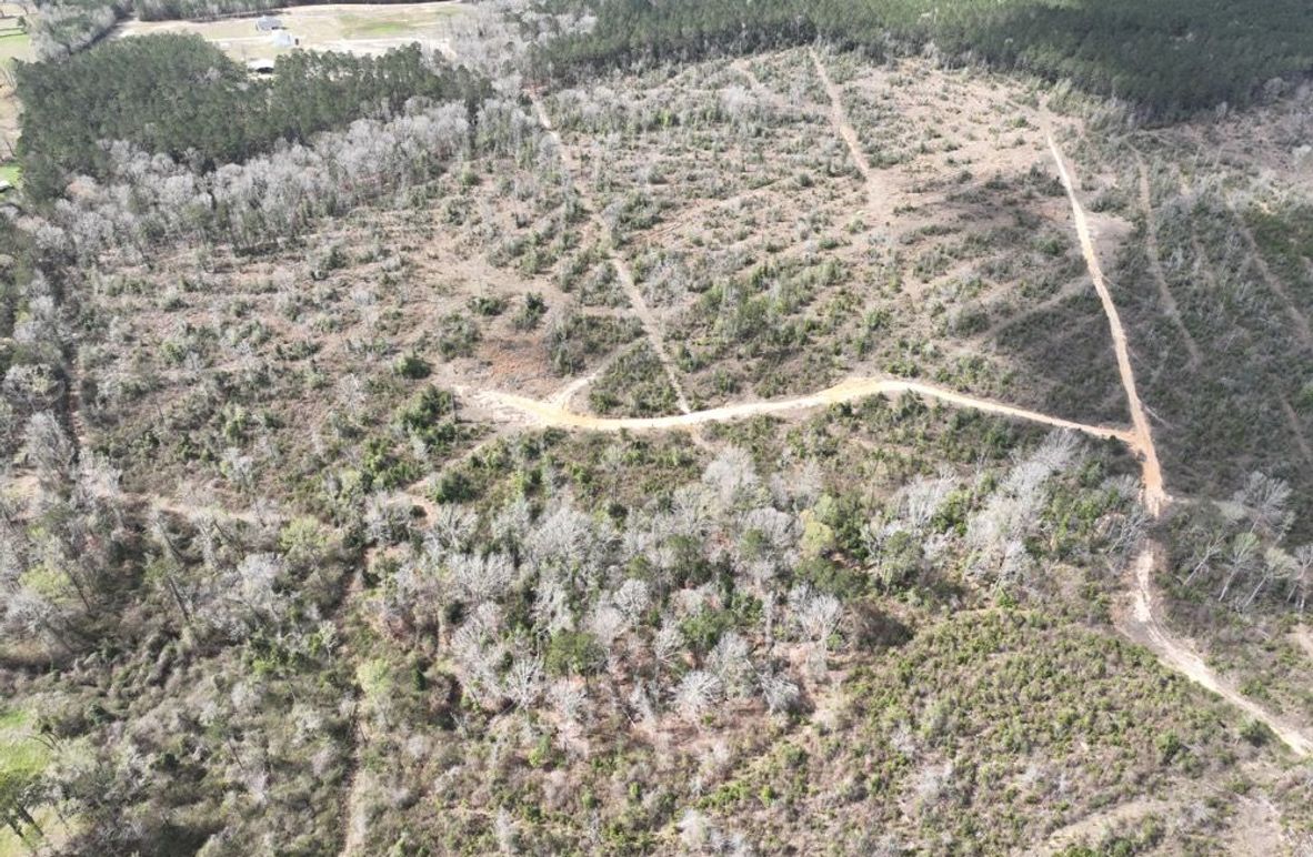 dji_fly_20260303_140048_294_1772637951592_photo