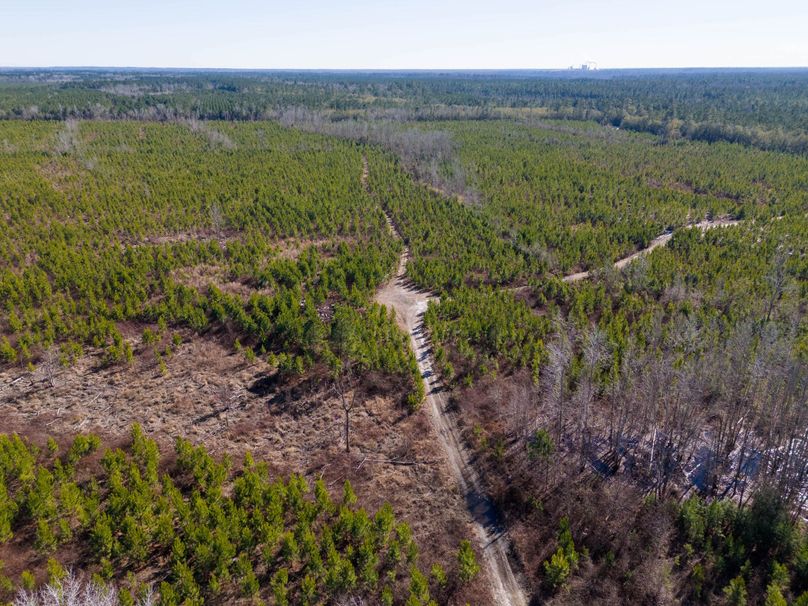 Pender NC 382 - Edits-5