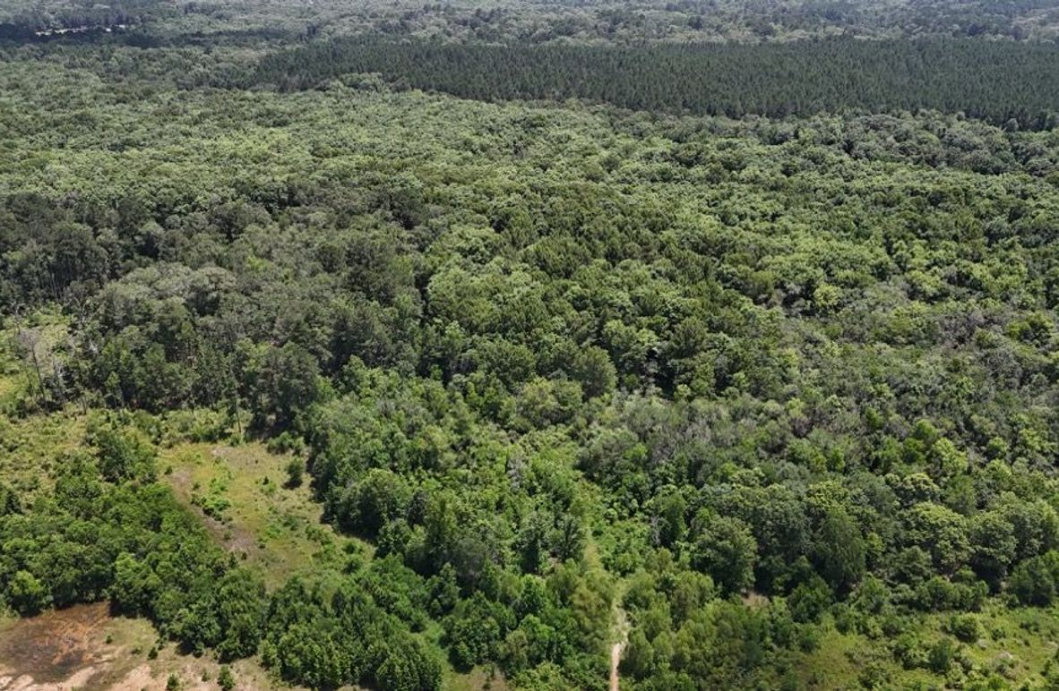 DJI_20250620031945_0638_D