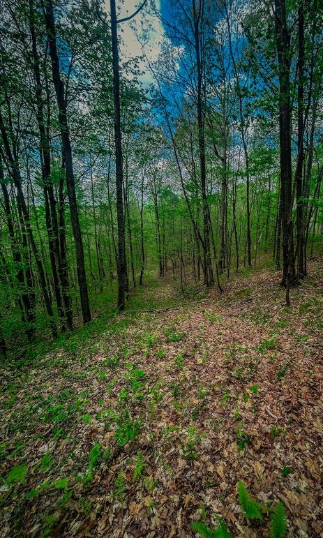 Doddridge, WV 64.69 AC Davis-16