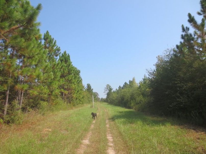 A88F1682-0E4A-4518-8A71-895AF1ECEE3C_1_105_c