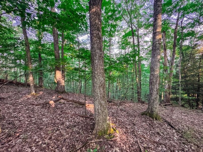 Webster, WV 42 AC Barger-32