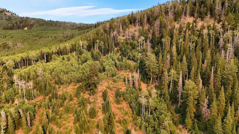 DJI_20250726174947_0168_D