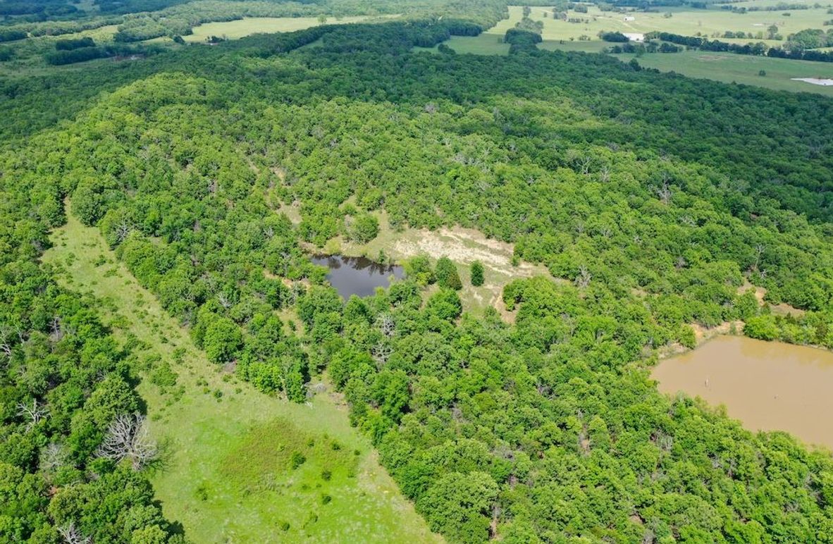 DJI_0304