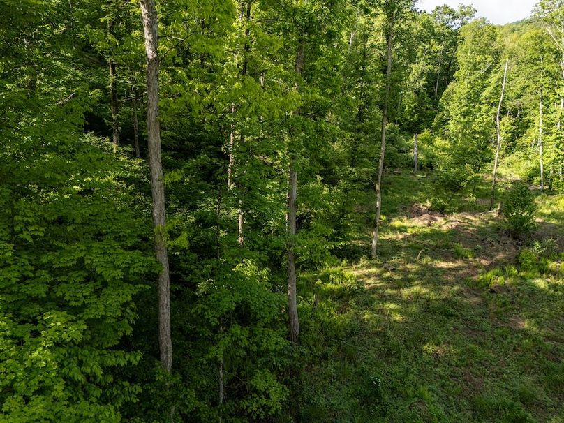 DJI_20250524070745_0362_D