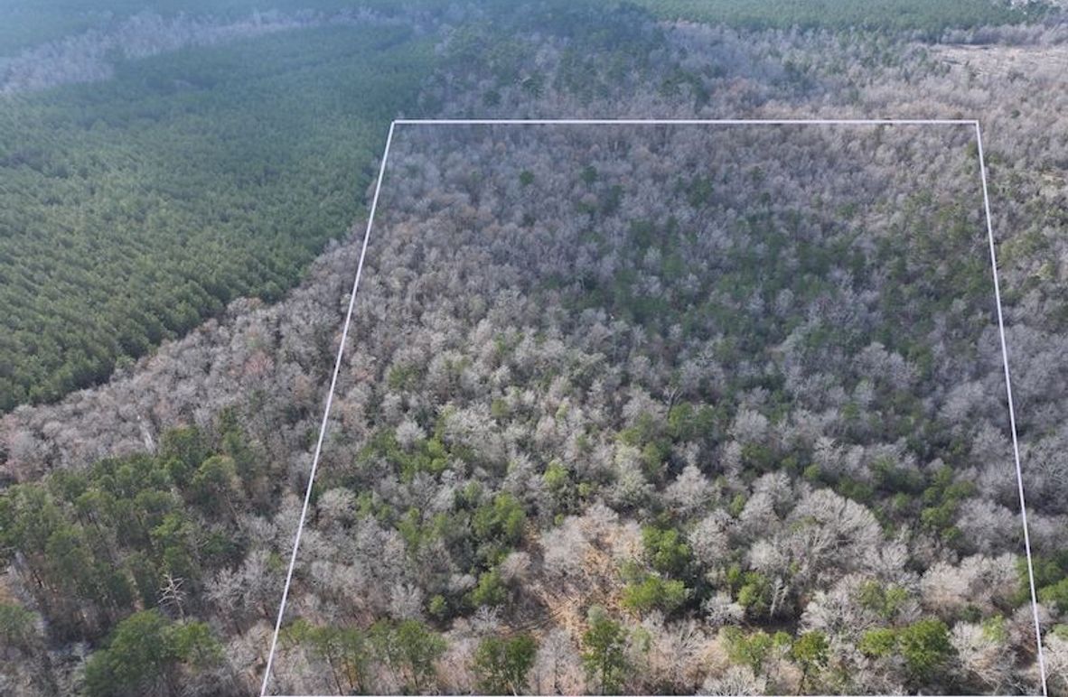 1Richardson 20_photo