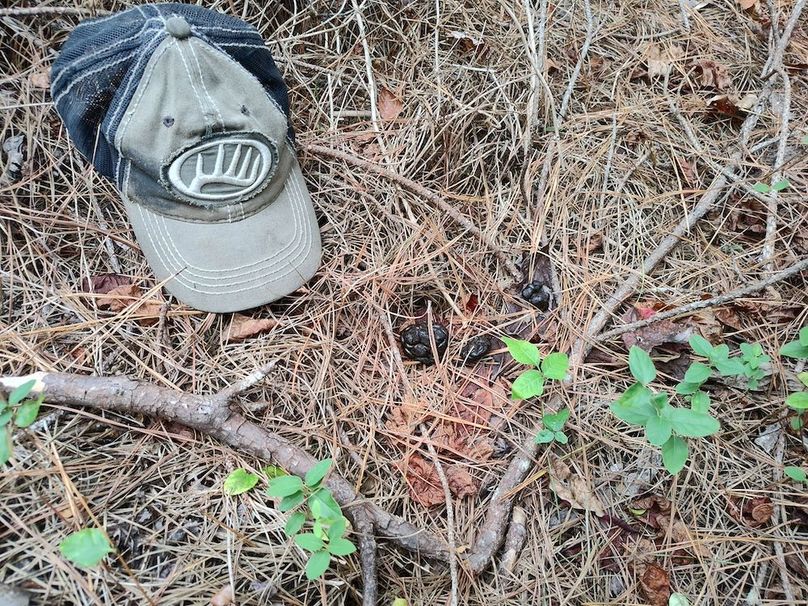 IMG_20250914_152921964_HDR