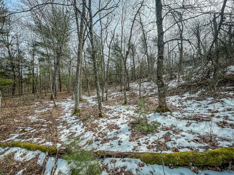 Adams 10.06 Johnson-32