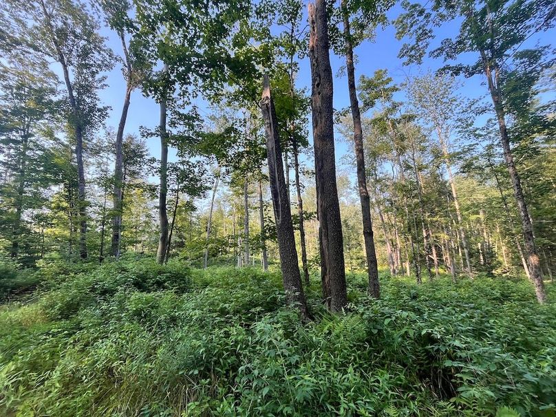 Oswego_615_Oswego_615_GingerichKurtz_Photos_3