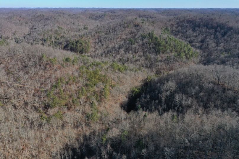 025 aerial drone shot from the west boundary in the low gap looking east