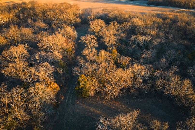 DJI_20260121164140_0467_D