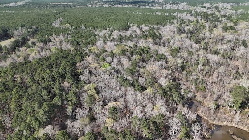 dji_fly_20260305_050414_0087_1772672663282_photo