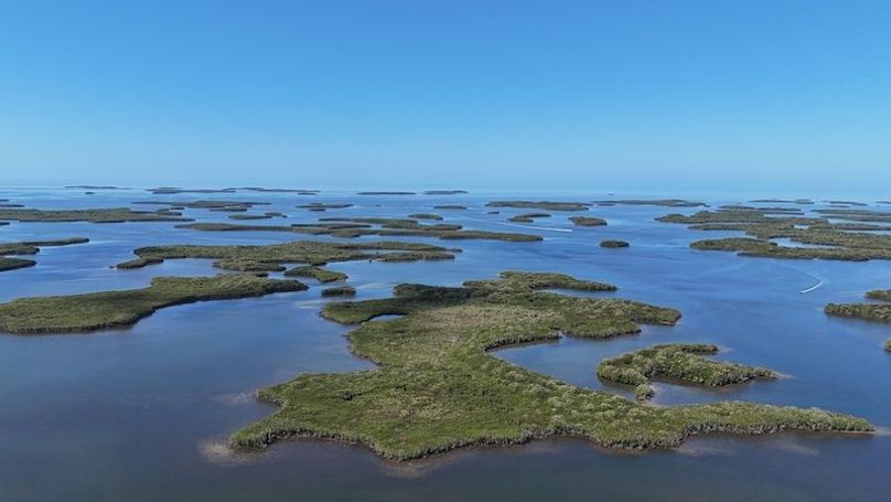 17.17ac, Citrus, Josiah Ronco31