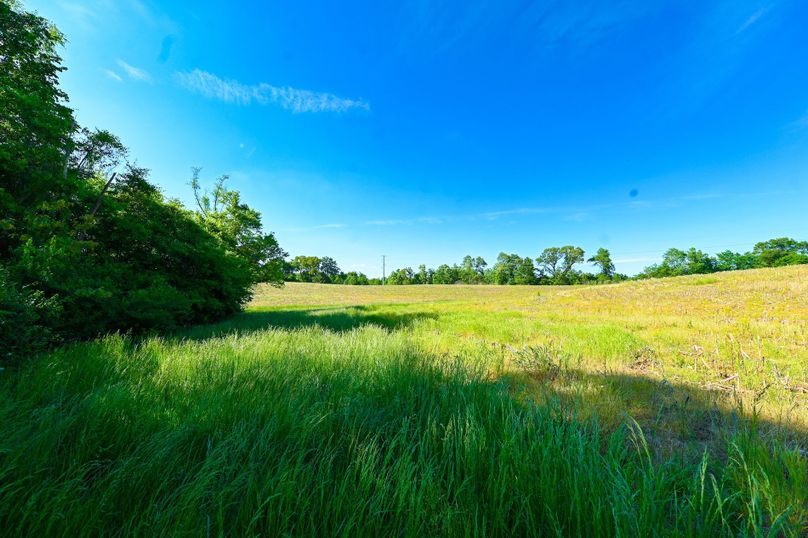 Copy of st clair 25 auction(26)