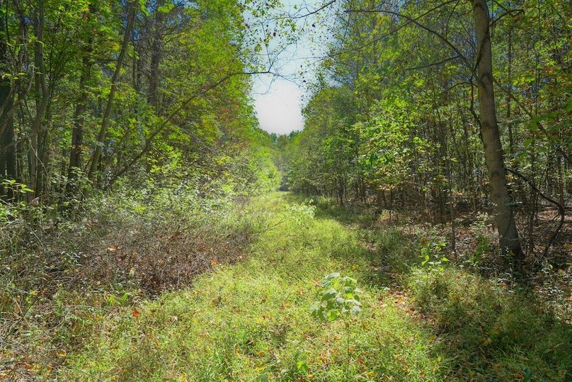 Fayette, 199, Hostetler-45