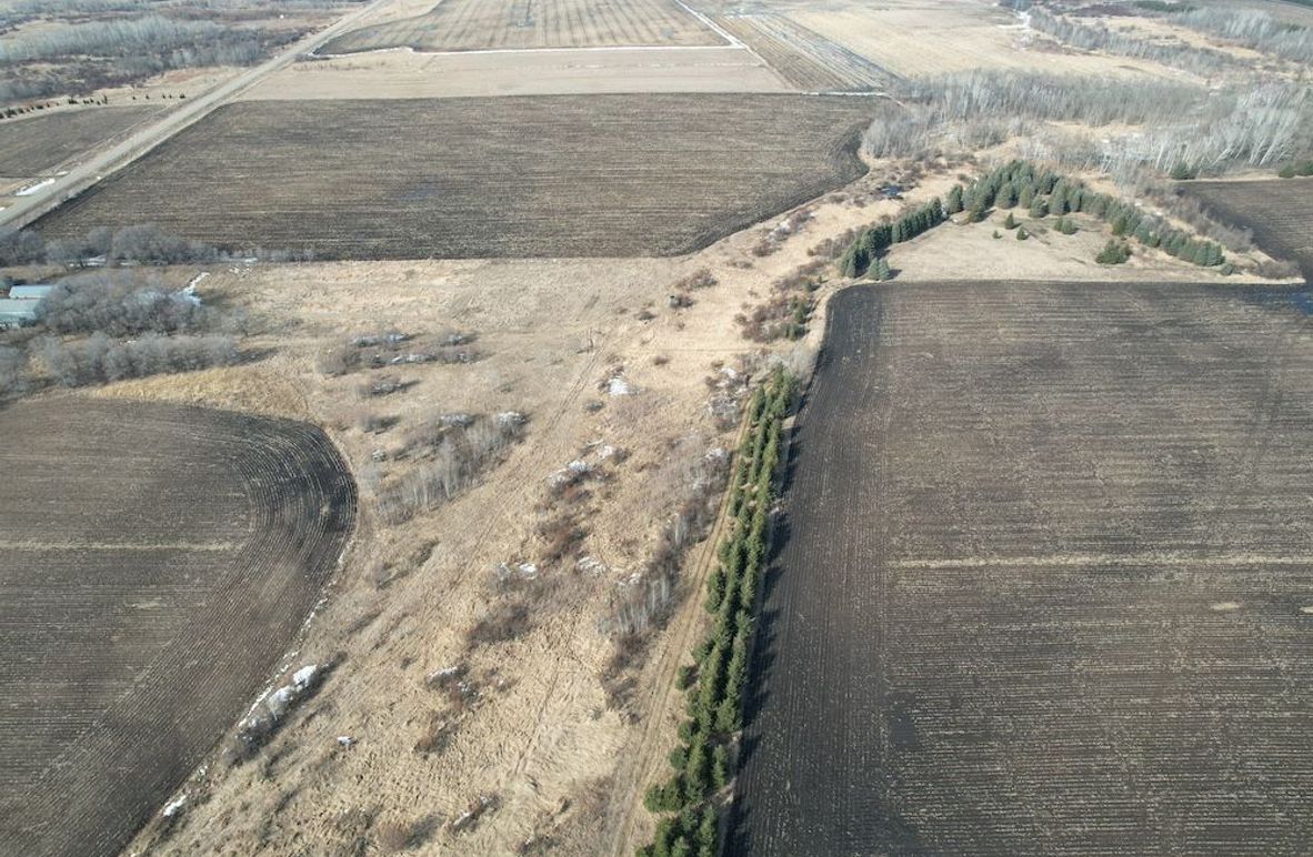 dji_fly_20260319_161310_121_1773955115208_photo