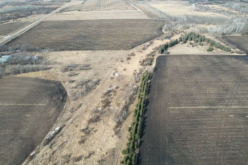 dji_fly_20260319_161310_121_1773955115208_photo