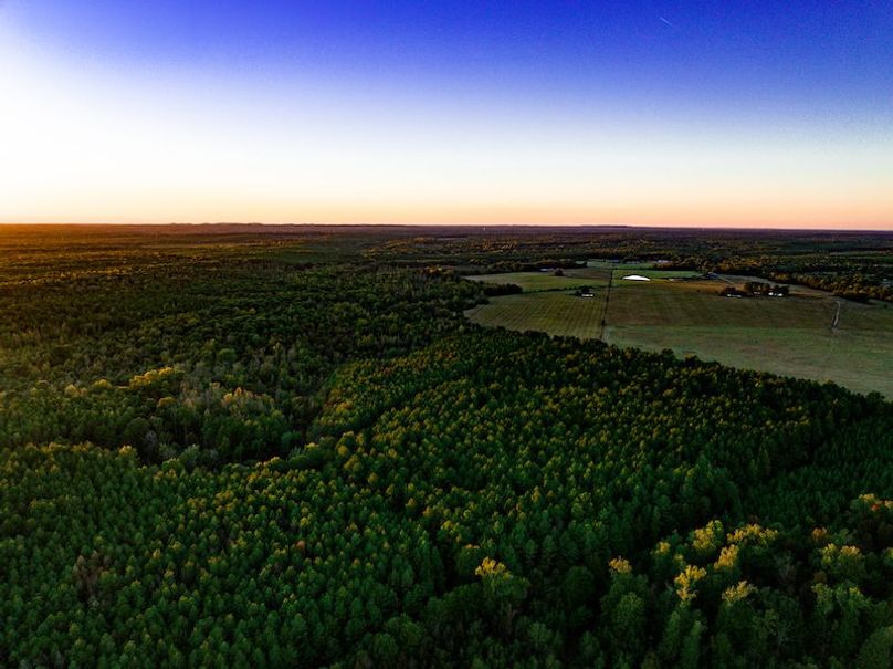 Clay 302.7 Henderson-49