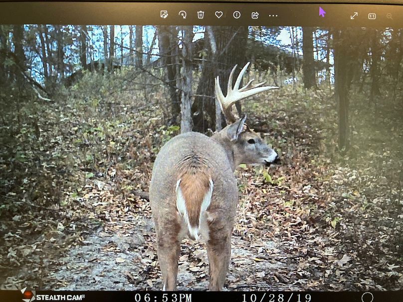 71008647298__D46151F1-4FA4-4D4F-8B69-D00A583D4685