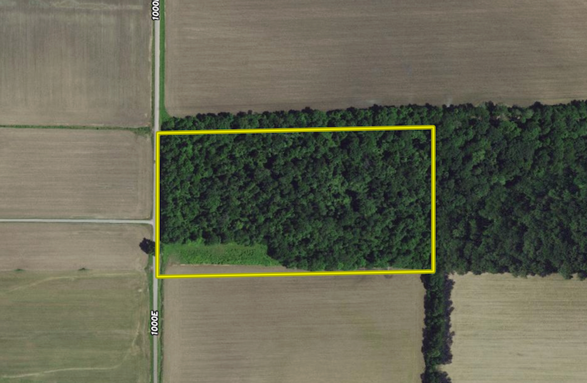 Screenshot 2024-03-04 at 2.26.14 PM